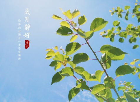 愿歲月靜好，山河無(wú)恙